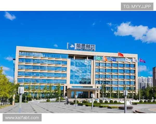 凯发k8国际首页客户服务与技术支持全方位解答确保玩家无忧体验